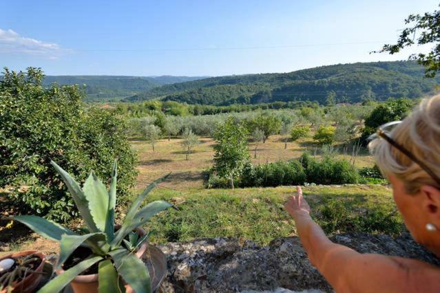 Cozy Istrian House Guest House Izola Bagian luar foto