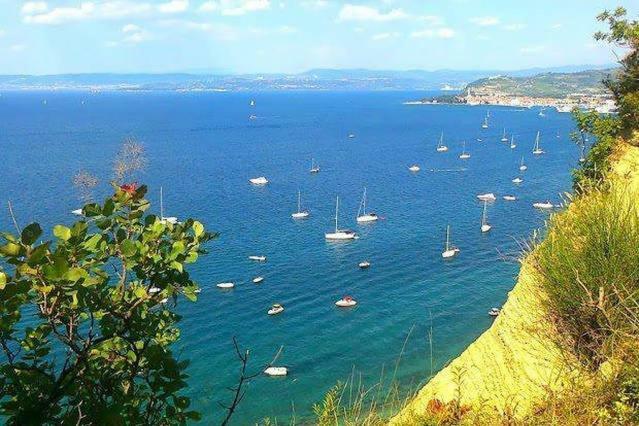 Cozy Istrian House Guest House Izola Bagian luar foto