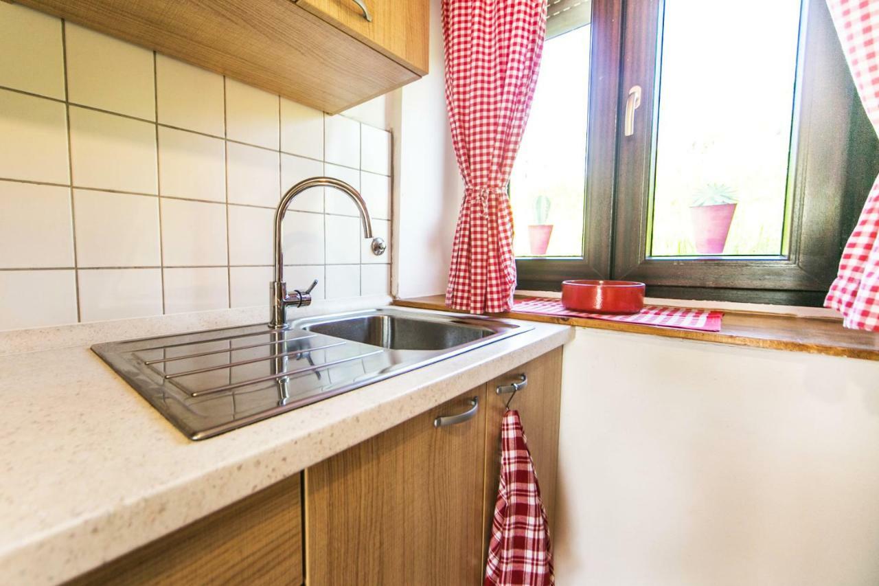 Cozy Istrian House Guest House Izola Bagian luar foto
