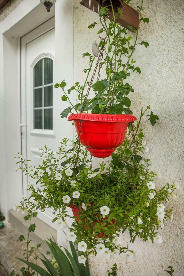 Cozy Istrian House Guest House Izola Bagian luar foto