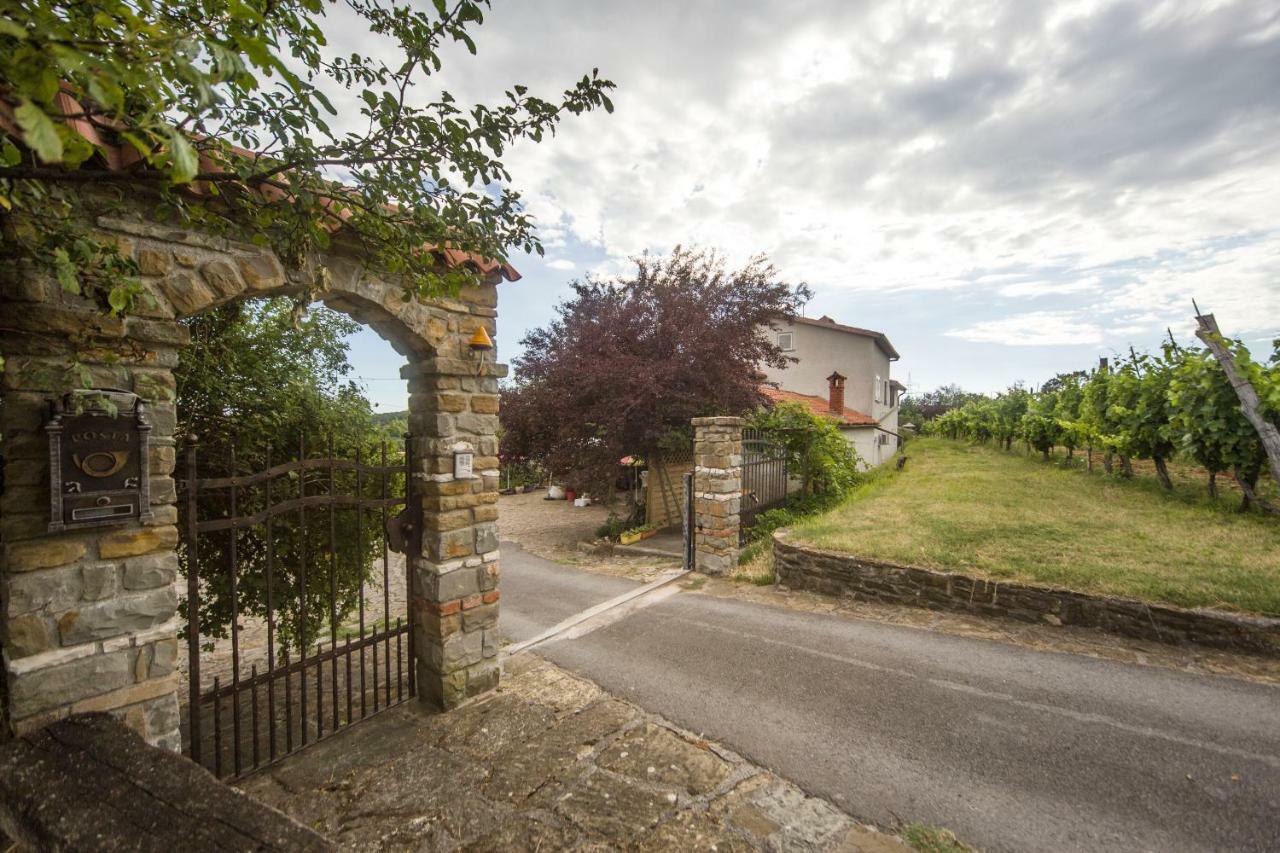 Cozy Istrian House Guest House Izola Bagian luar foto