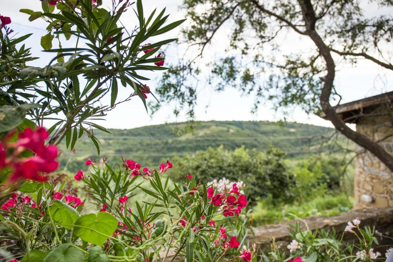 Cozy Istrian House Guest House Izola Bagian luar foto