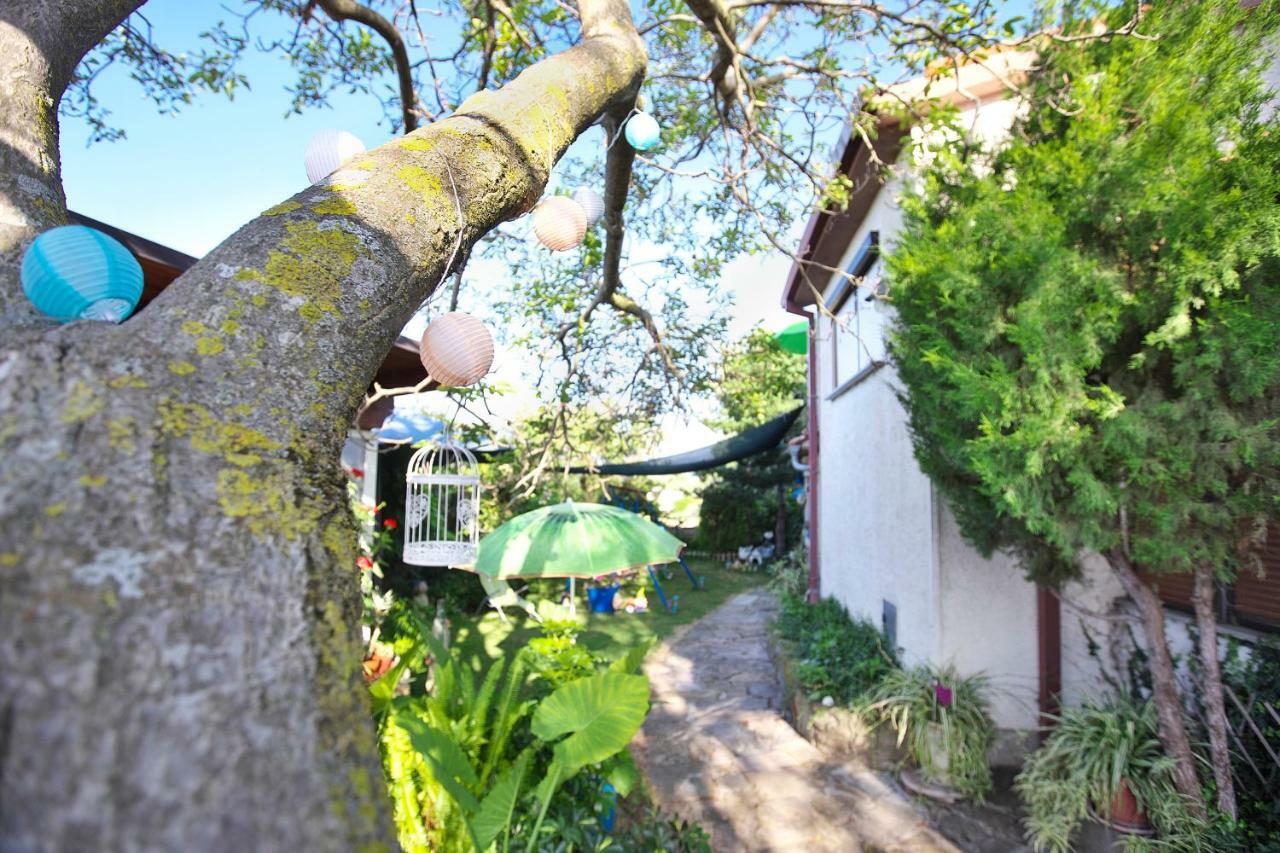 Cozy Istrian House Guest House Izola Bagian luar foto
