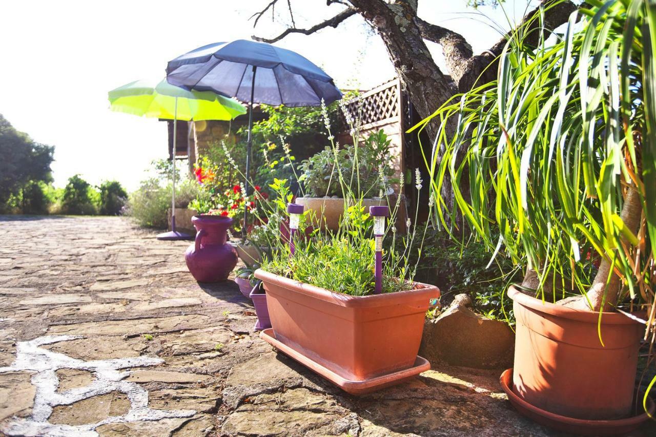 Cozy Istrian House Guest House Izola Bagian luar foto