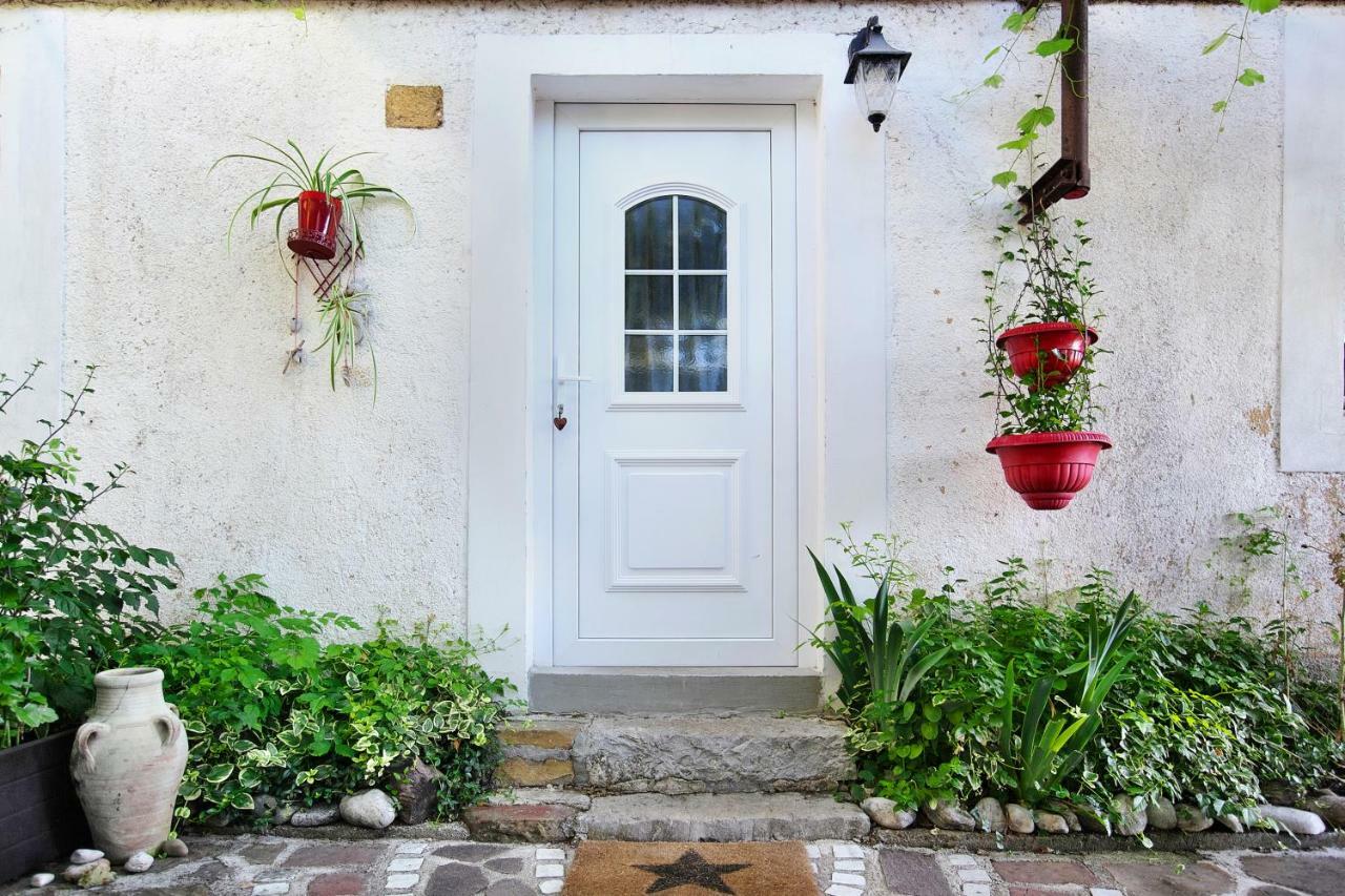Cozy Istrian House Guest House Izola Bagian luar foto